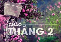 Đèn chùm Nguyễn Đô chúc quý khách có một tháng hai vui vẻ và tràn đầy hạnh phúc