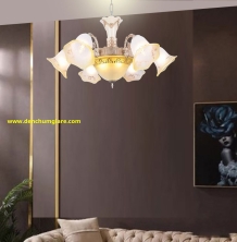 Đèn chùm Châu Âu EU C50/6