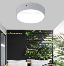 Đèn ốp trần ban công EU MSS561