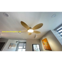 Quạt trần đèn VF55