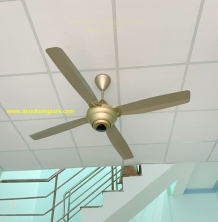 Quạt trần Panasonic 4 cánh F-56MZG có remote phù hợp cho mọi không gian