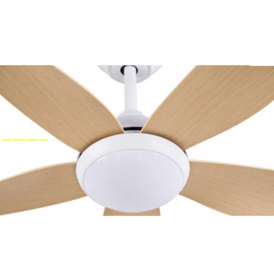Quạt trần đèn Cora 40MP