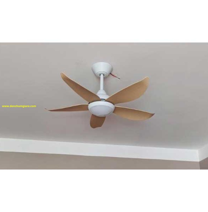 Quạt trần đèn Cora 40MP
