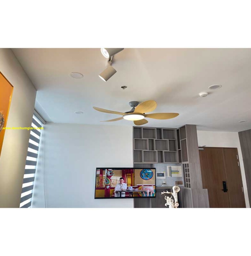 Quạt trần đèn VF55