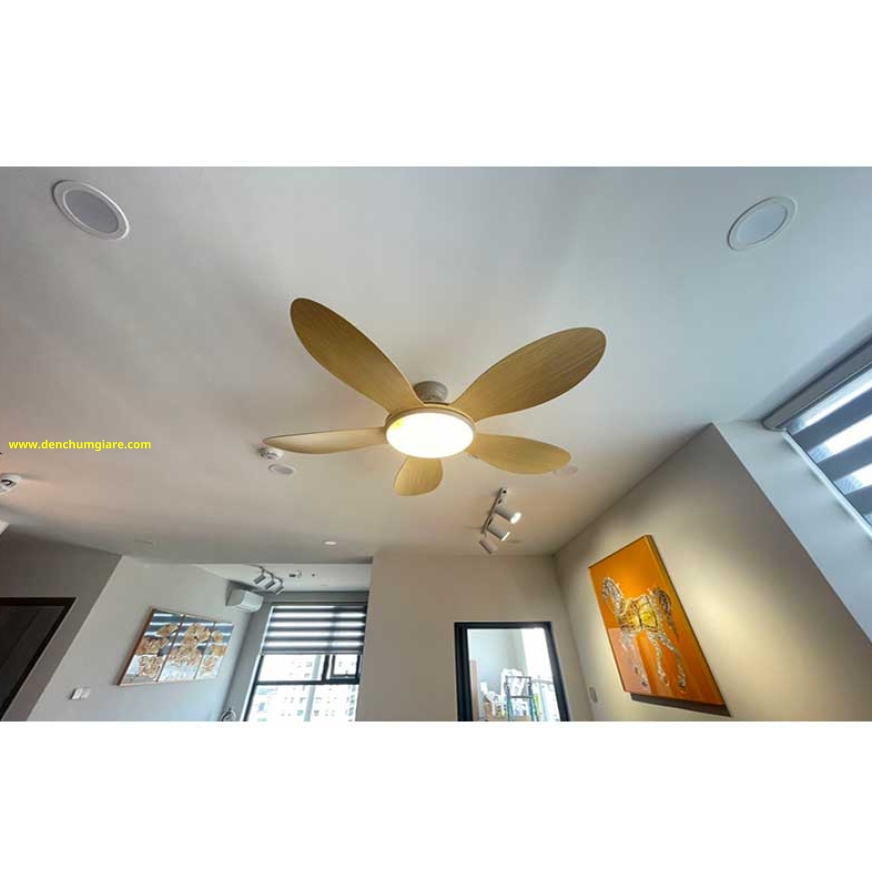Quạt trần đèn VF55